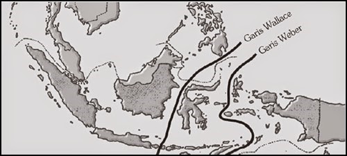 PERSEBARAN FAUNA DI  INDONESIA  geogreenphy